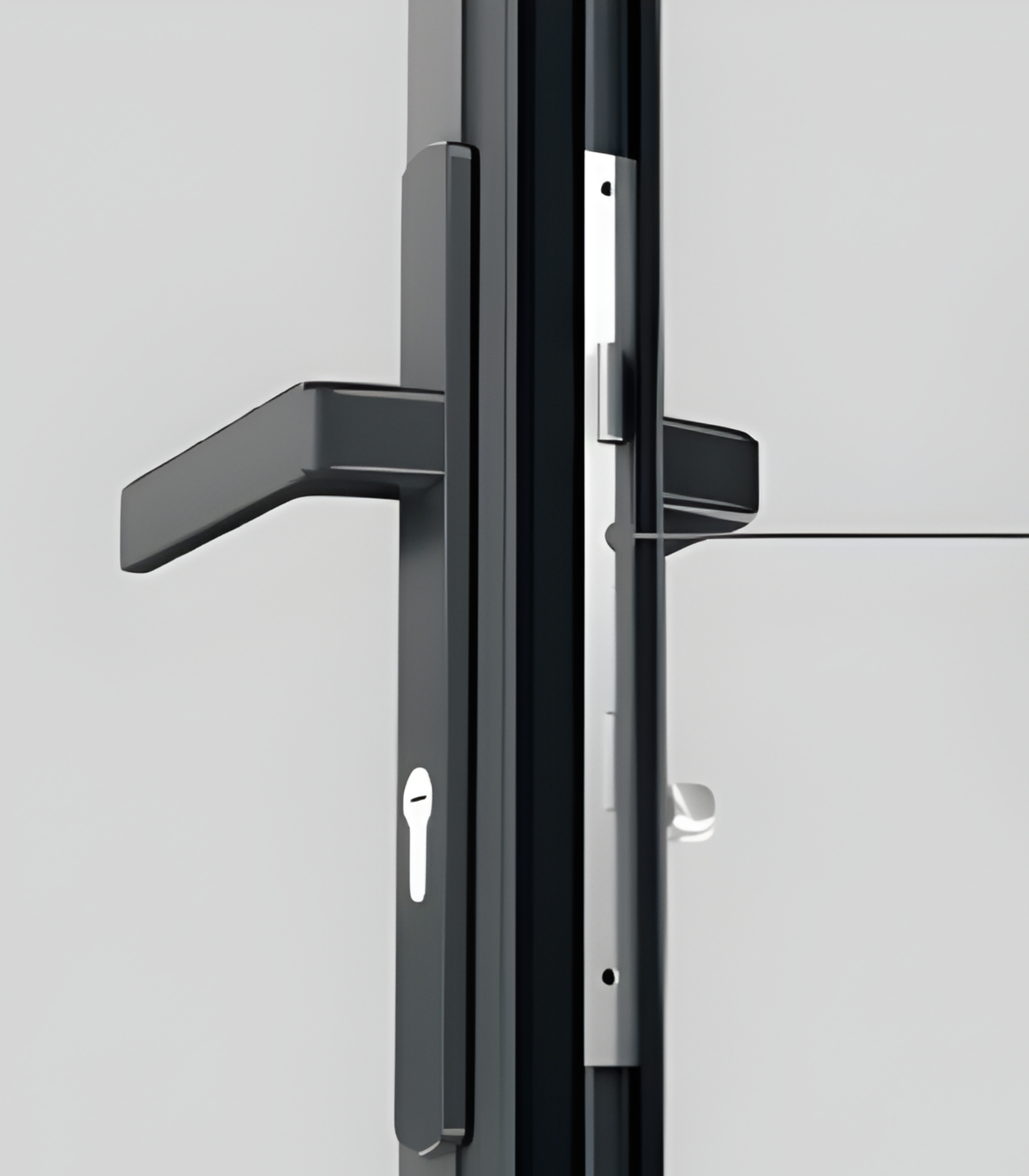 VLX 100 Swing / Entry Door in Wellington, FL | TruePane Windows & Doors - detail 5